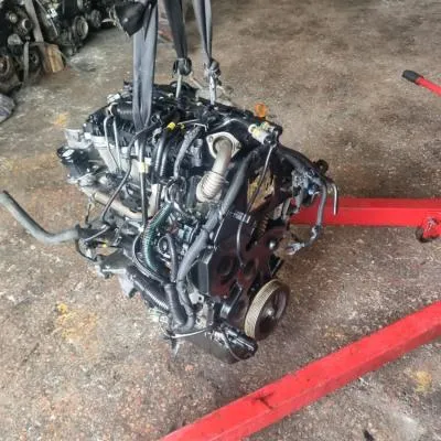 Ford Focus 1.6 Dizel DV6 Motor